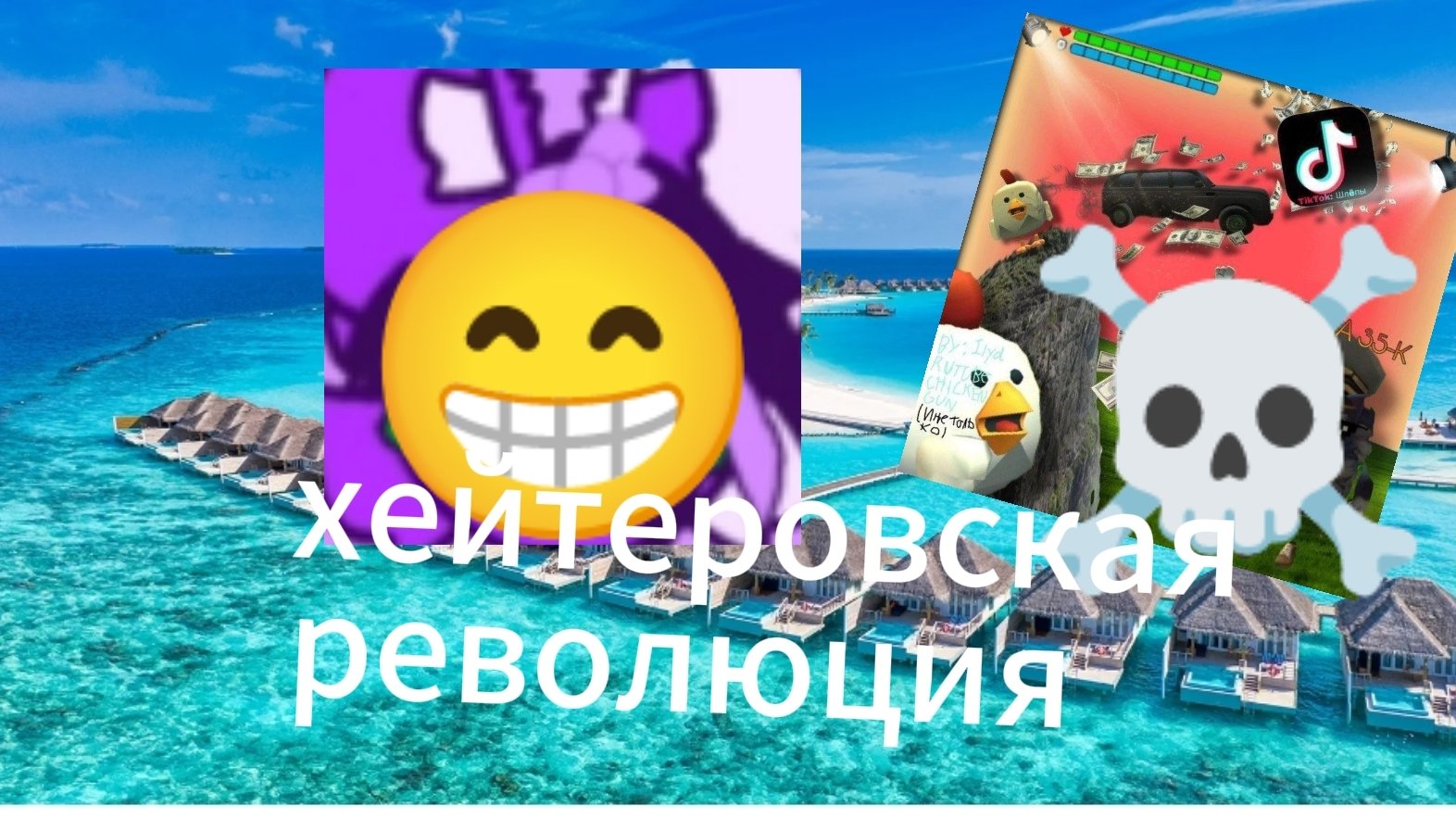 хейтеровская революция