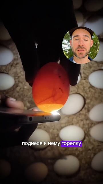 Как проверить яйца?