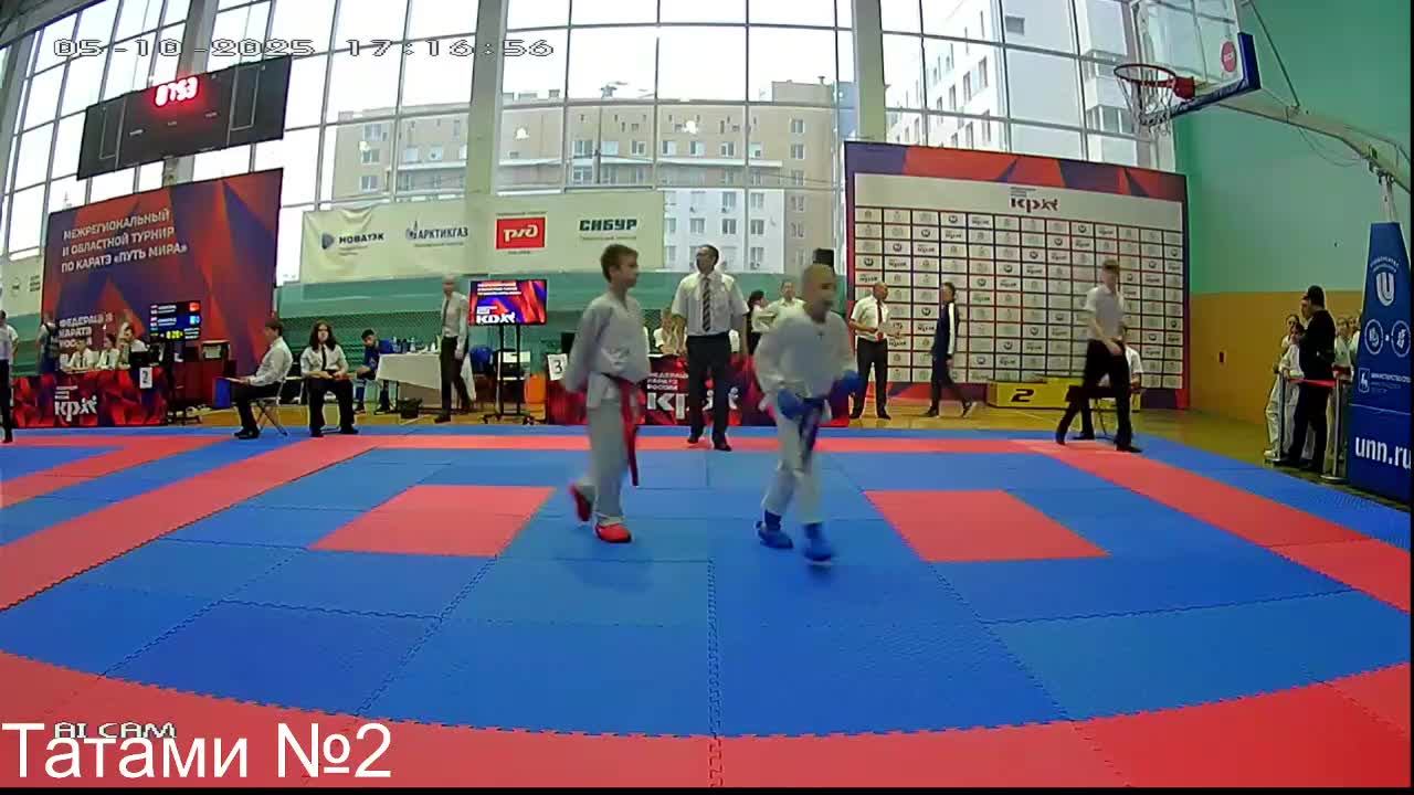 Путь Мира татами 3