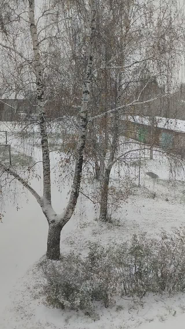 Утром проснулись, а у нас зима