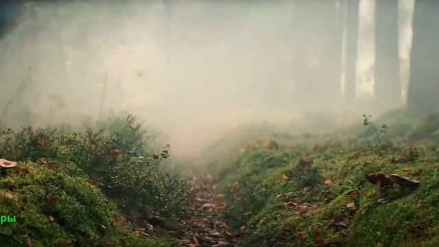 Маша и Медведи. Фильм 2025. Трейлер фильма.