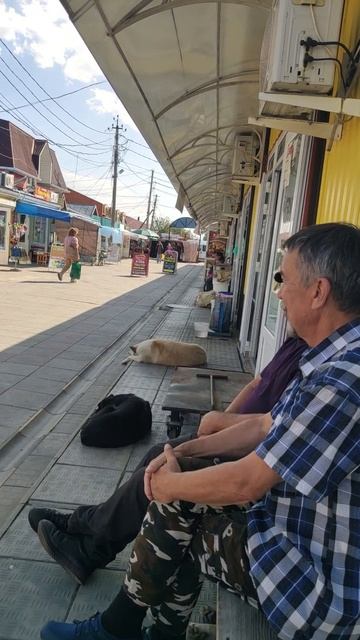 Про рыбу и модные джинсы