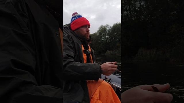 Мукбанг на реке. Тушёнка Звениговский, гречка с говядиной.  #мукбанг