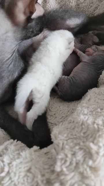 Сонное царство🤪 ПОДПИШИСЬ🤗