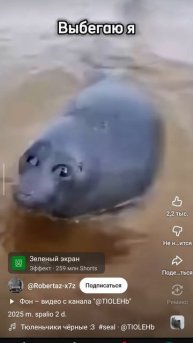 1000002509.mp4