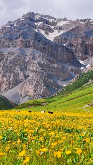 Прекрасное утро в горах 📍Алтая