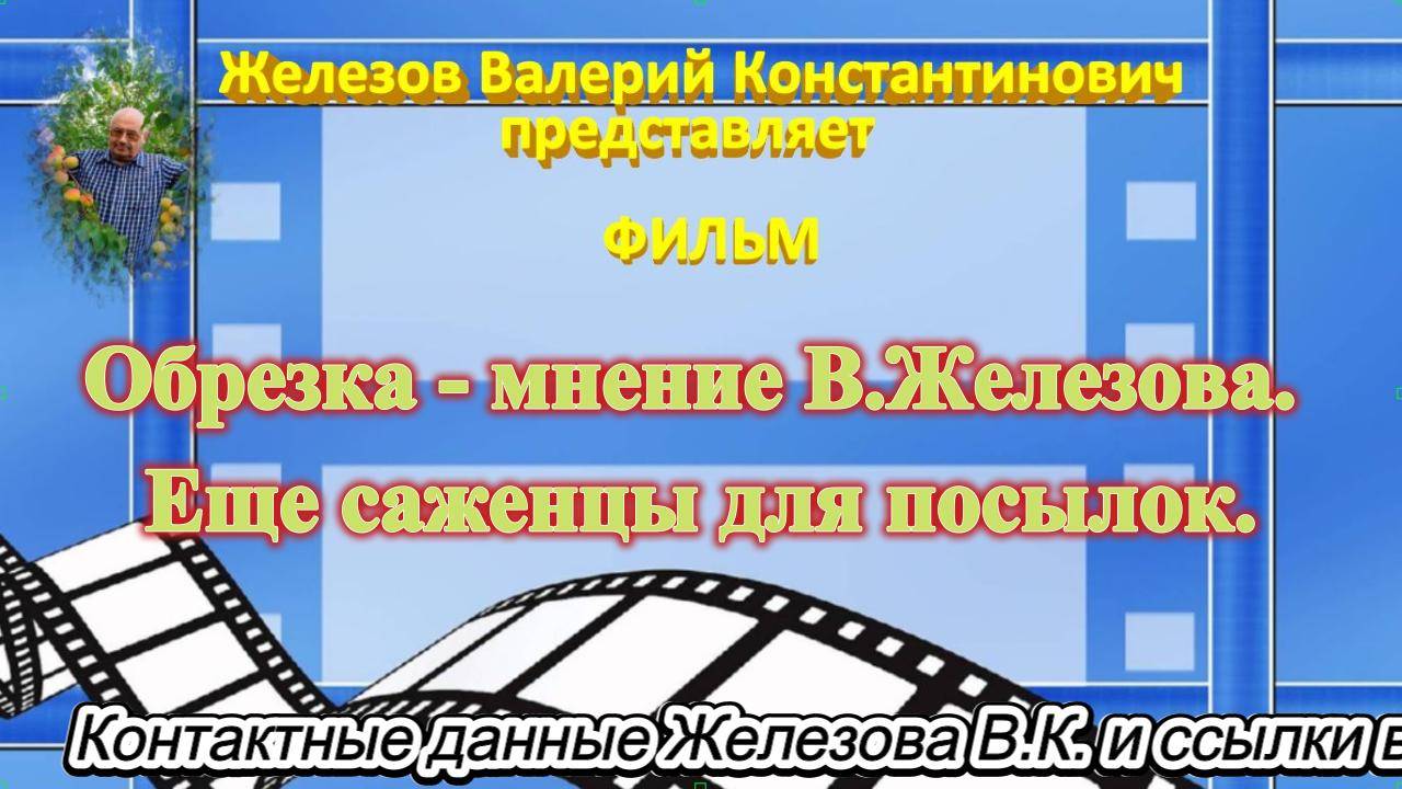 Обрезка - мнение В.Железова. Еще саженцы для посылок.