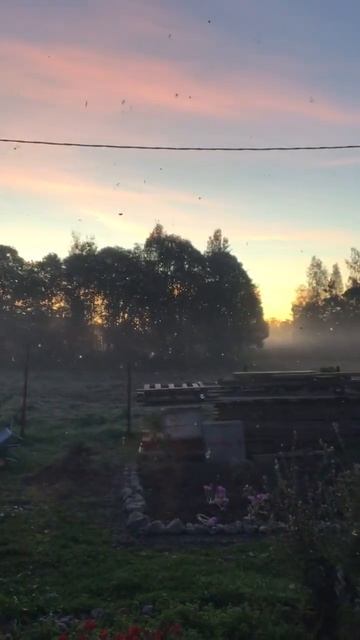 Ленобласть. Хвойное. 04.10.2025. Восход солнца, с добрым утром. Эпизод 1