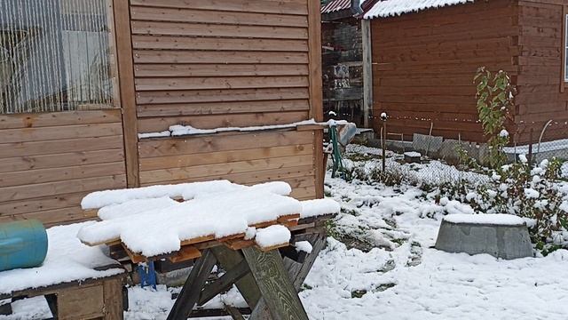 Зимняя малина. 05.10.26