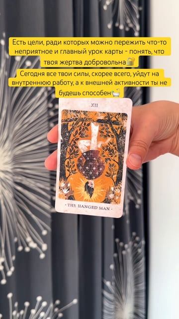 🛀🏽#картадня #cardoftheday #таро #tarot #совет #таропрогноз #solar #kingdom #hangman
