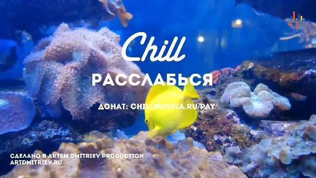RADIO CHILL