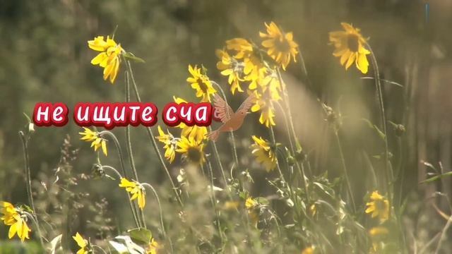 Счастье – это моменты...