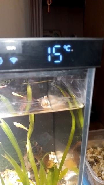 Вставил помпу температура 0 °