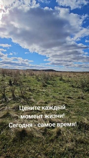 Цените каждый момент.