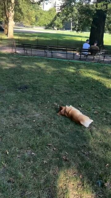 Кому какое шило досталось 🤷♀️))