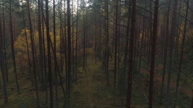 МЦЫРИ - 2025. ОТБОРОЧНЫЙ ТУР В ПСКОВЕ