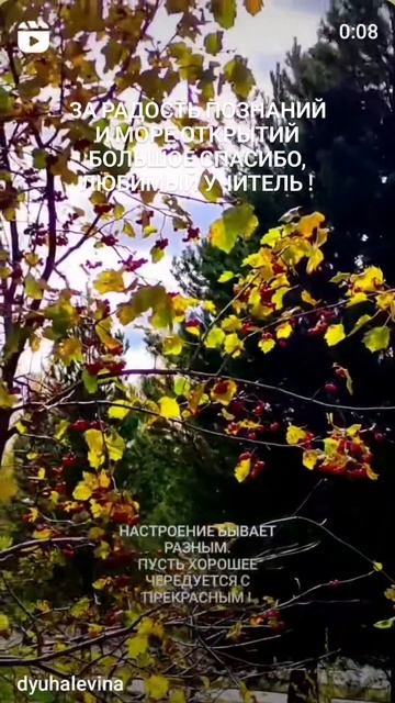 СПАСИБО ЗА ТРУД И ЗАБОТУ.