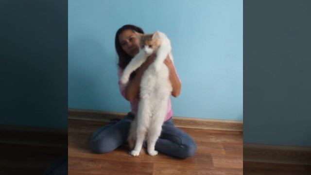 Мальчик #мейнкун Арчи🥰