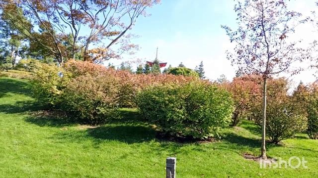 Прогулка в японском саду. Краснодар.