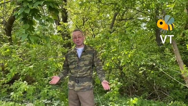 Орнитологам на заметку:)(:)