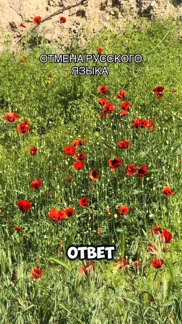 Архив ТикТок 27.05.2025 г.
