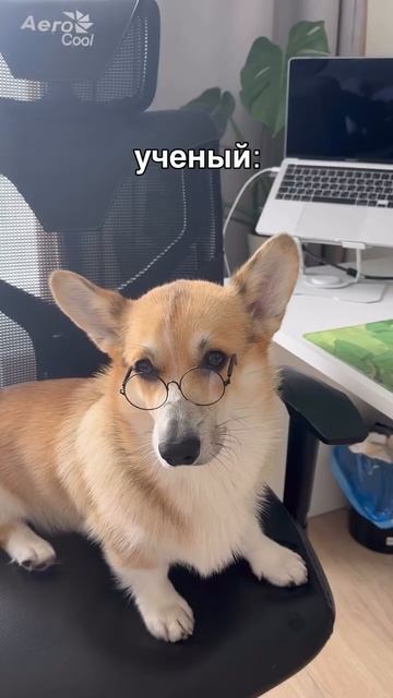 Не спорьте с учёными ☝))