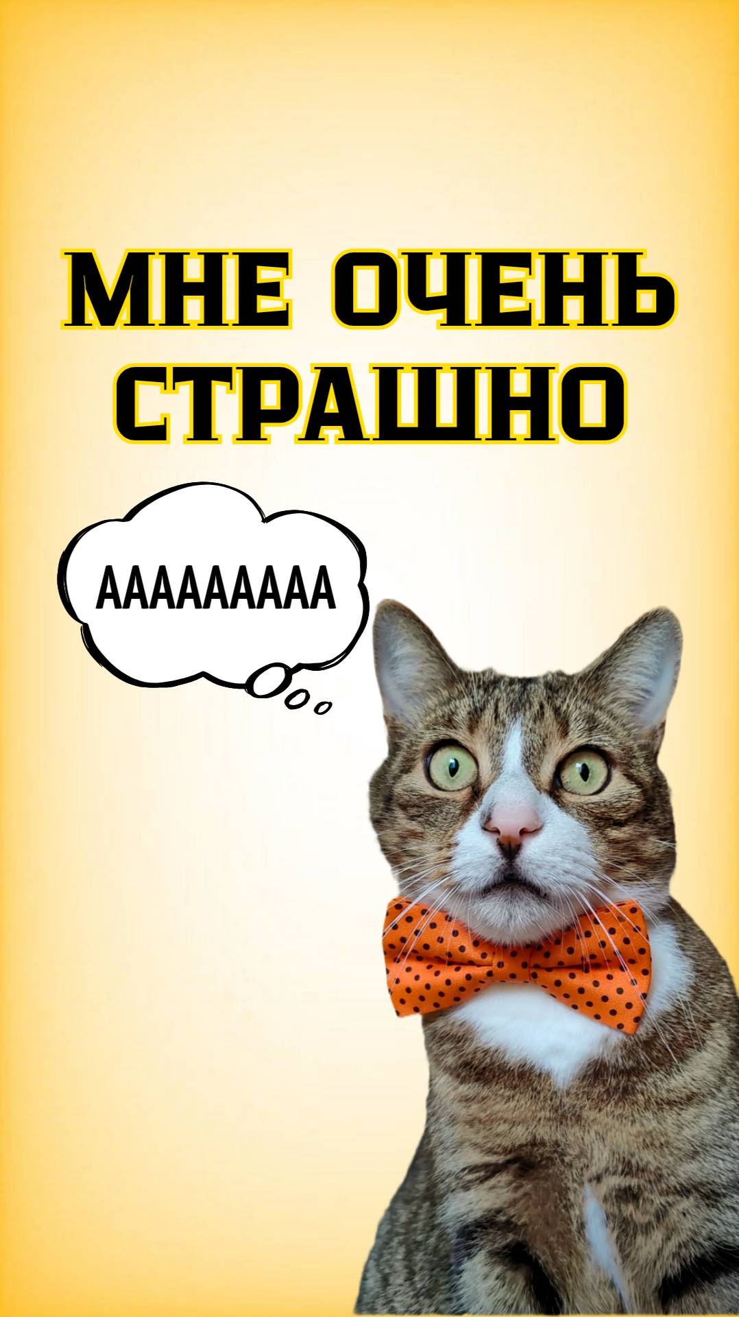 Разговор с Алисой: Мне очень страшно!🙀