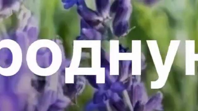 Красивые загородные посёлки