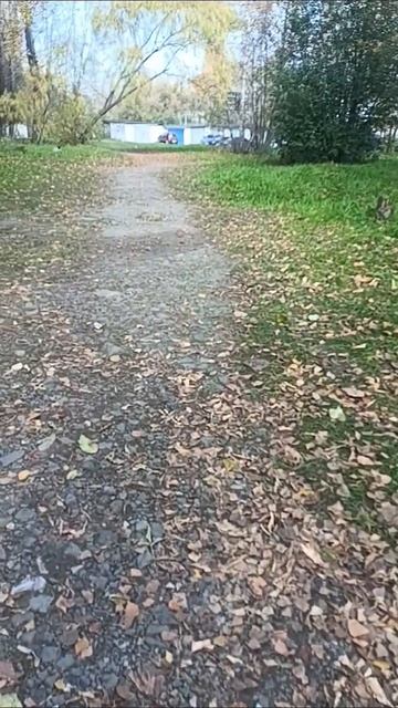 прогулка
