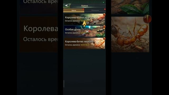 6.10.25 Ant Legion. Опросник муравья