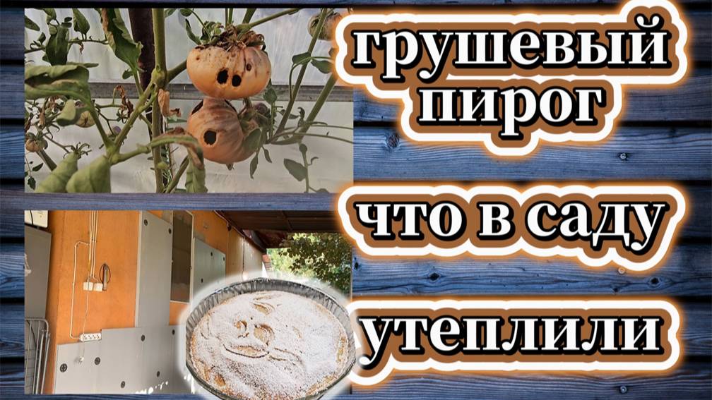 155-25! VLOG/РЕЦЕПТ ВКУСНОГО ПИРОГА ГРУШЕВОГО/УТЕПЛИЛИ СТЕНЫ/ВЕСТИ ИЗ САДА/СГОРЕЛА ШЕЯ🐷