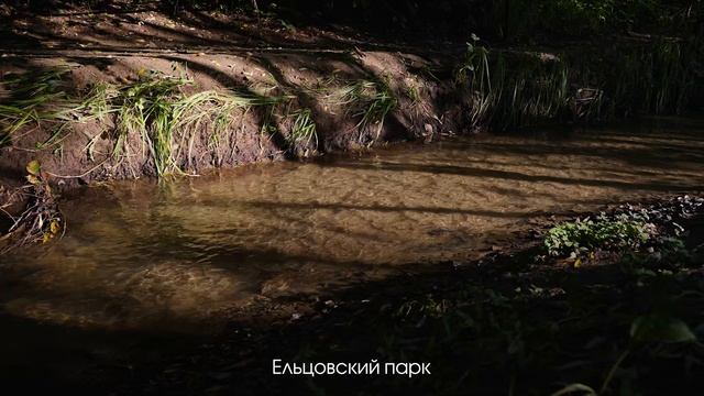 Расцветай_на_Кропоткина