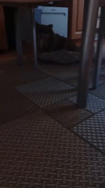 Всем ДОБРОЕ УТРЕЧКО
