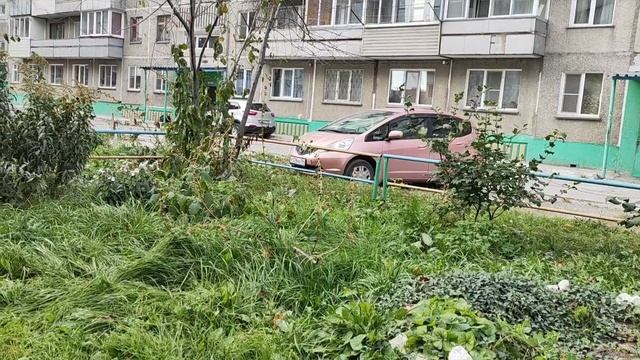 Домашние хлопоты