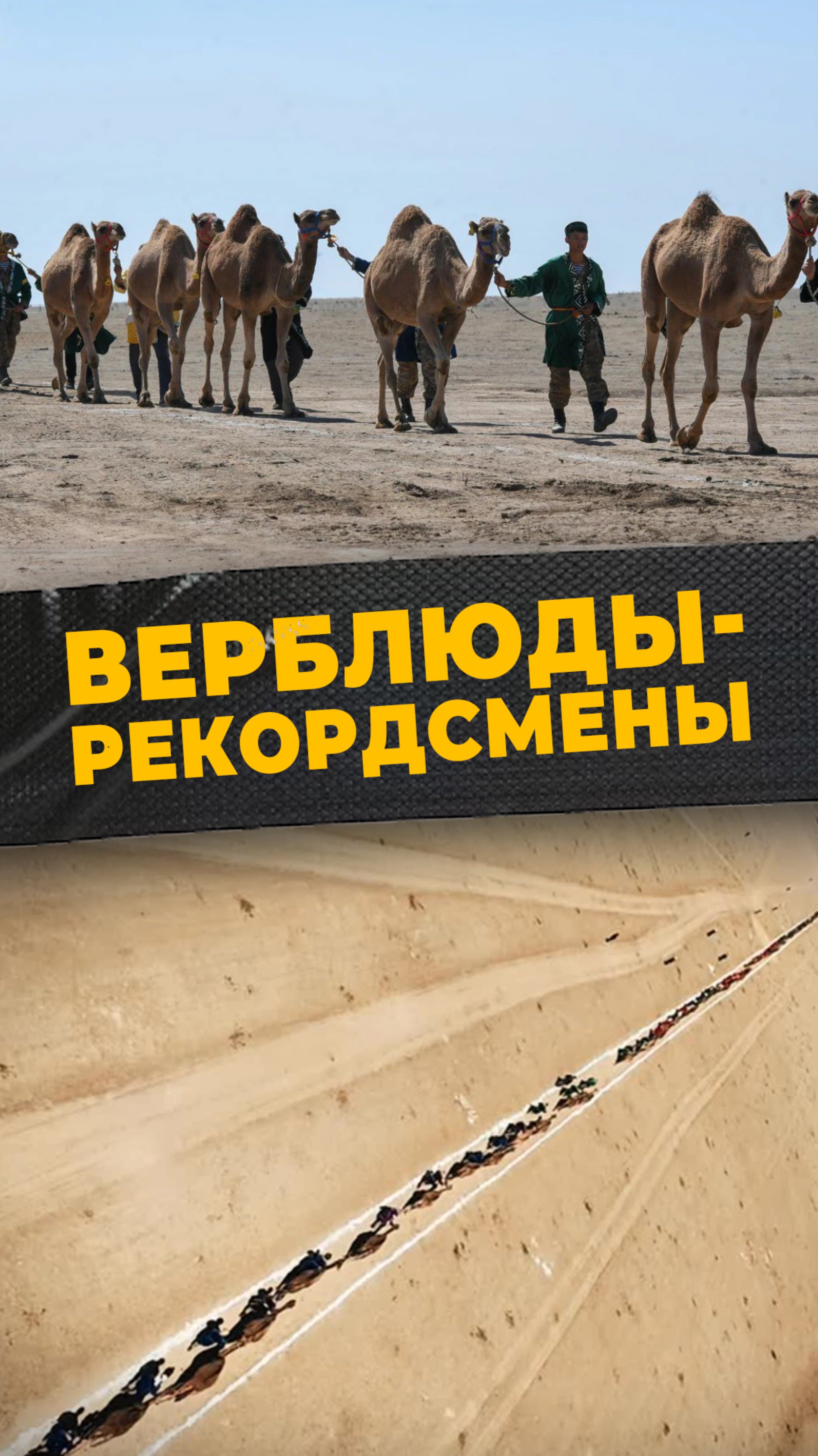 ДЛИННЫЙ КАРАВАН#мирадио