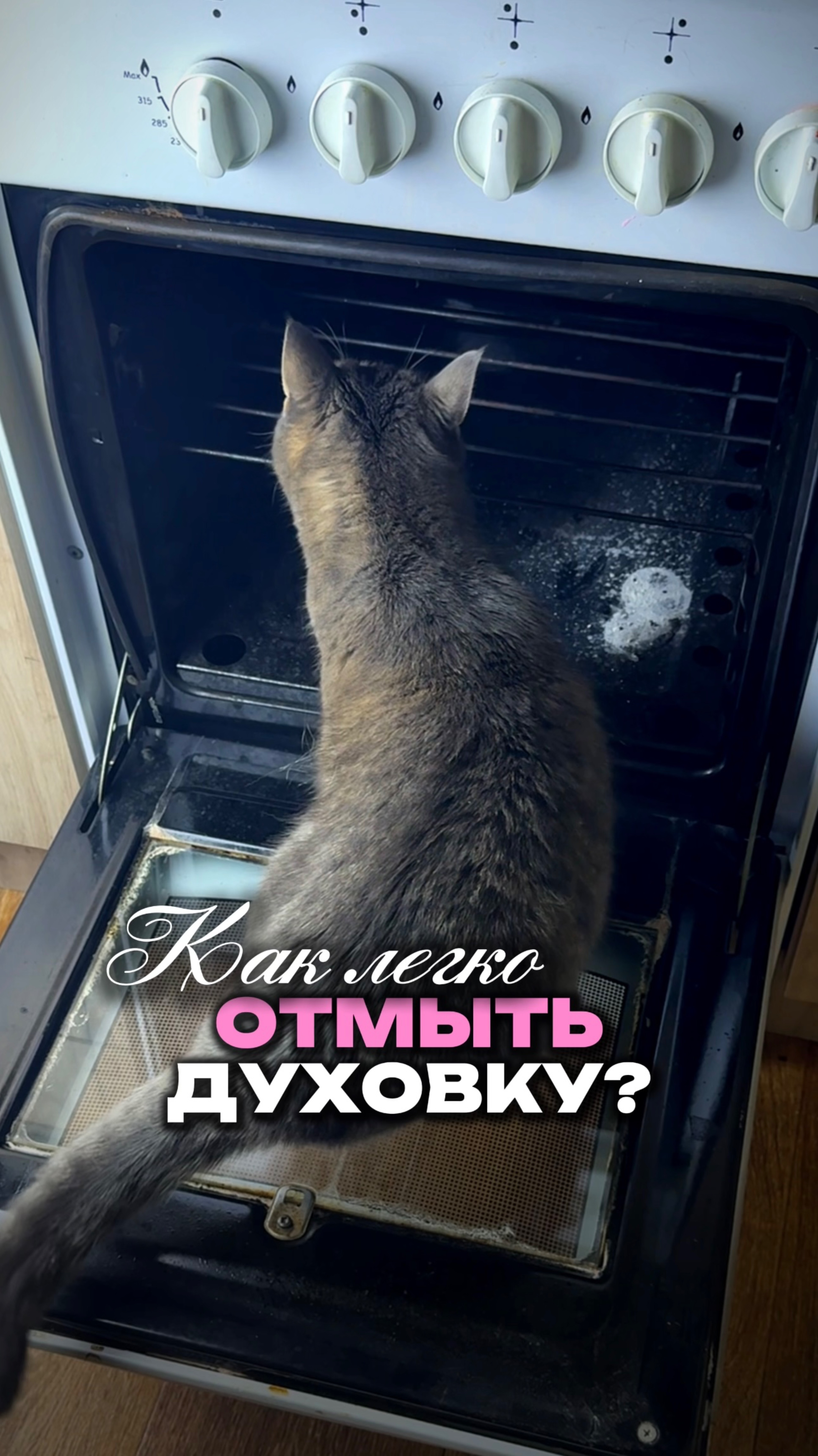 Пробовали такой способ? Очень легко отмывает духовку это средство WB:  WW174534