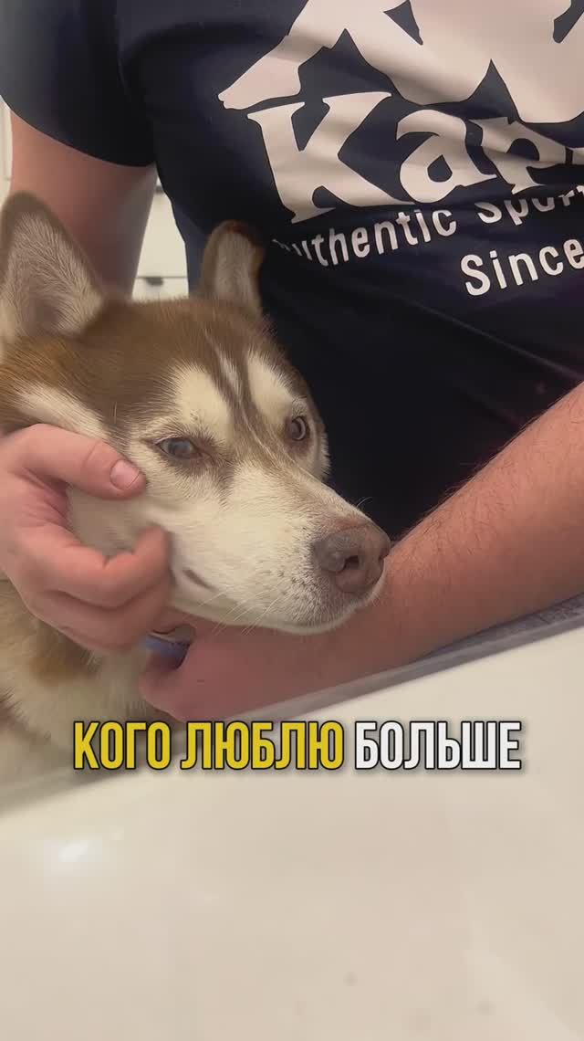 Из какого города смотришь нас?❤️