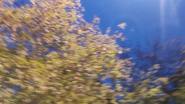 магический пасмурный вечер 6 октября в ночь на 7 октября дожди...