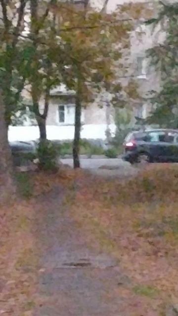 обычный день у нас в городе: