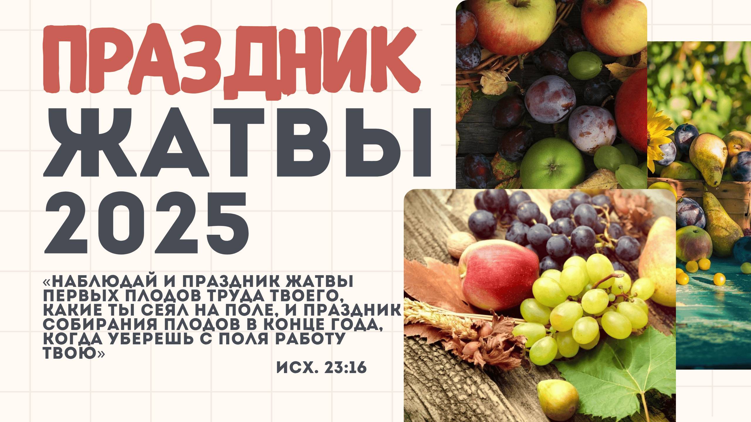 Жатва 2025 | 28' 09' 2025'