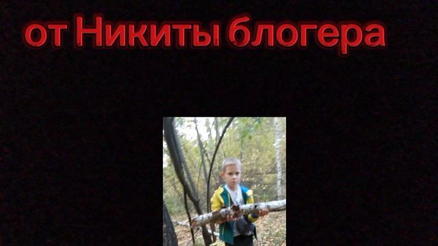 трейлер 99 ночей в лесу