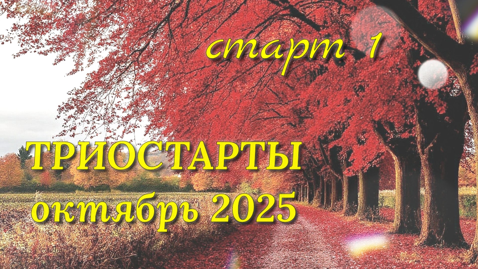 Начала вязать десятый котошарф крючком в СП Триостарты октября. Старт 1