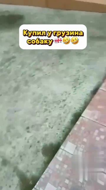 Https://vk.com/0humorous0?from=groups