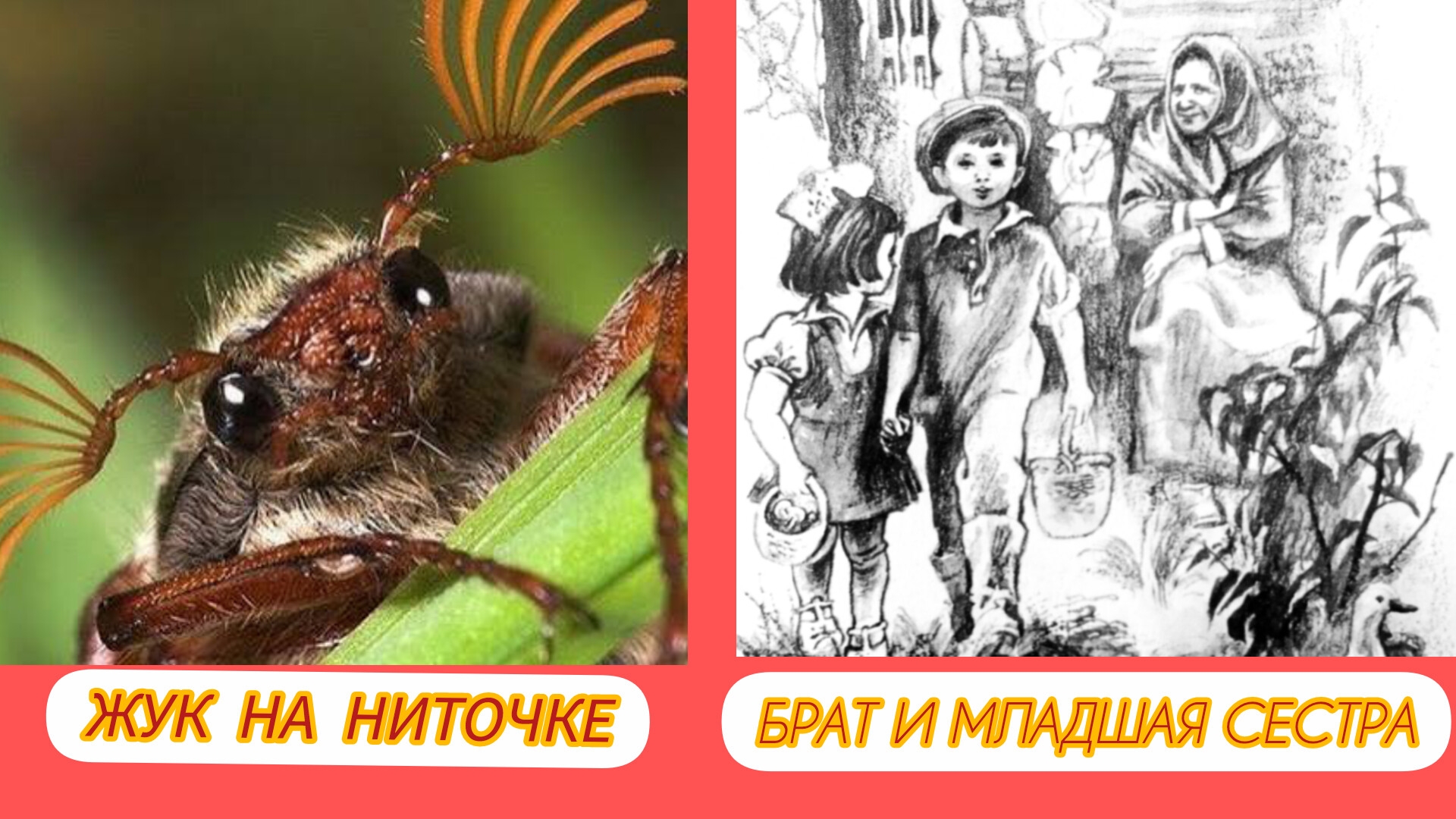 Рассказы / интересно, поучительно/ Э. Шим.