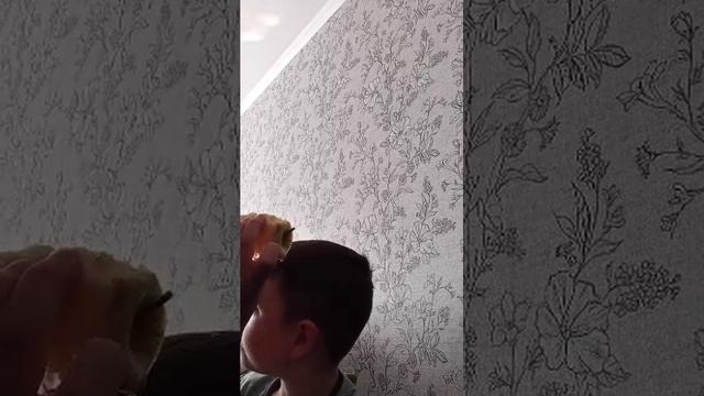 я пришёл со школы😅✌️