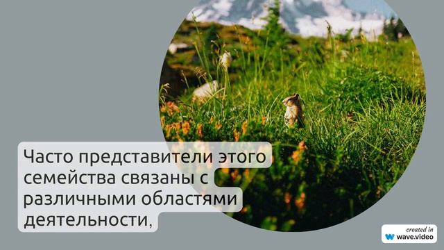 Фамилия Арджанов: история, происхождение и значение этого редкого имени на просторах России