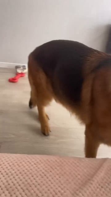 Всем шикарного настроения и прекрасного дня !
Даже утяжелители прибрал мамины 😍🥲