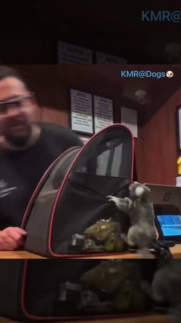 Поймай меня, если сможешь🤣