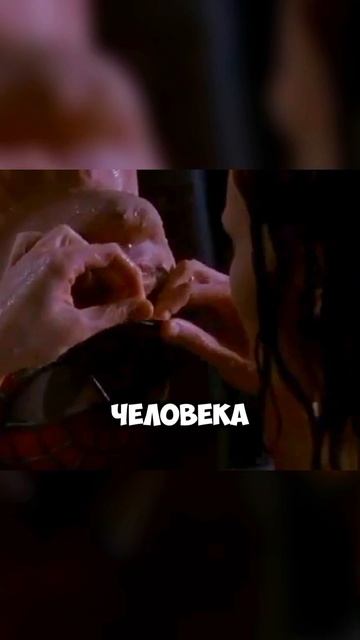 Показал сцену из Человека- паука на свадьбе [OGN]