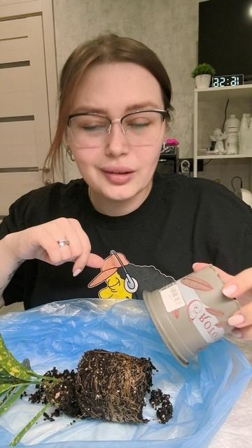 Спасение растений по уценке часть первая